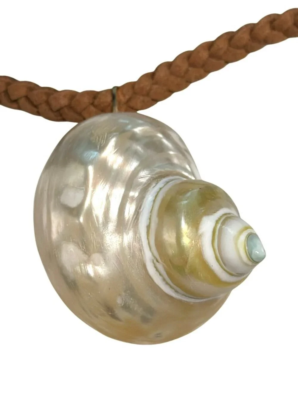 Free People Beach Shell Pendant Necklace Adjustable Chain Natural Brown & Cream - Picture 4 of 7